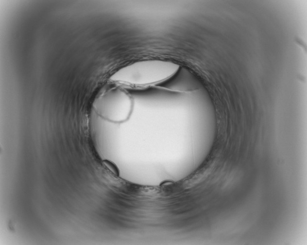 X0000096400624200801241005