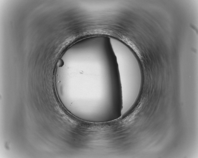 X0000096400625200801241004