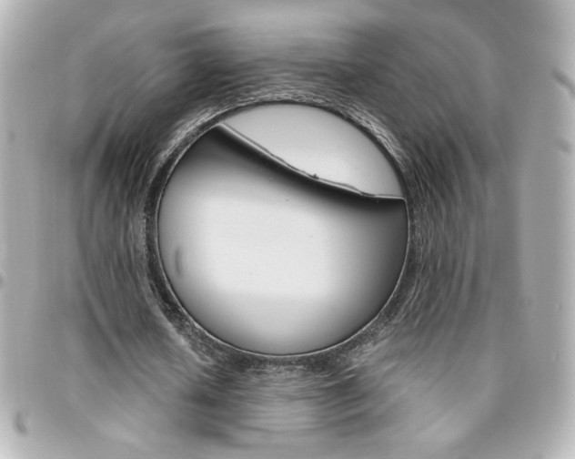 X0000096400626200801241004
