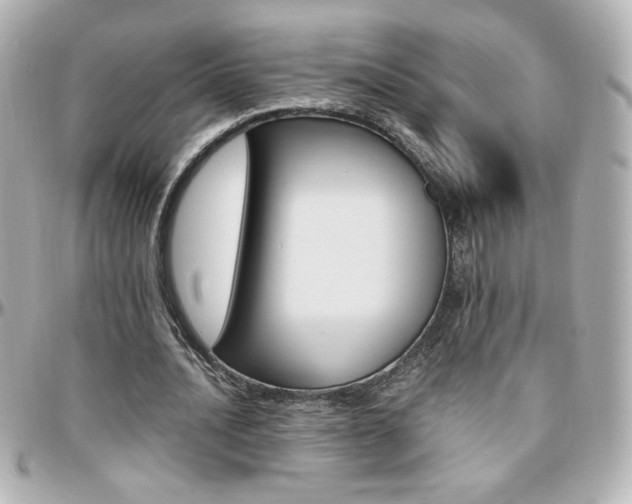 X0000096400628200801241004