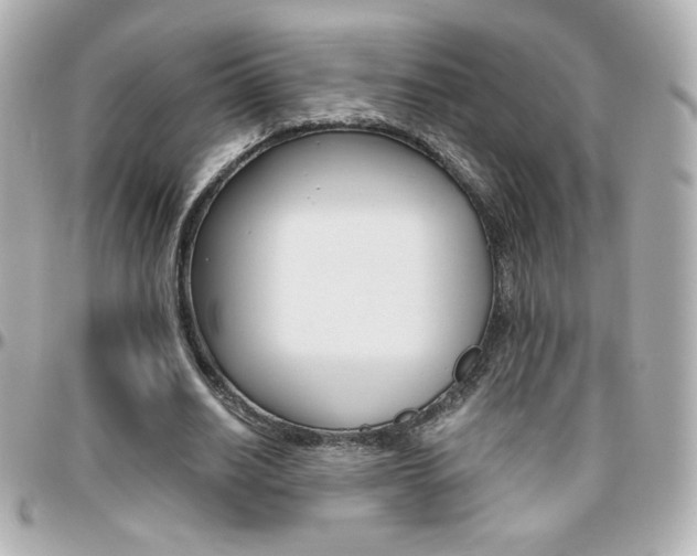 X0000096400630200801241004