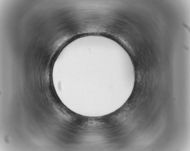 X0000096400632200801241004