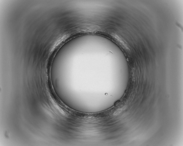 X0000096400634200801241004