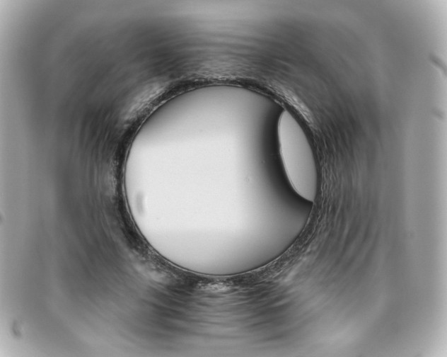 X0000096400635200801241004