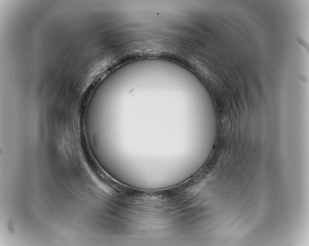 X0000096400638200801241004