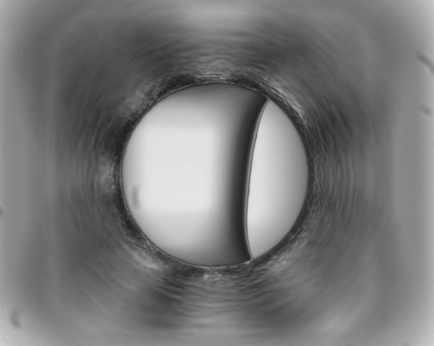 X0000096400641200801241004