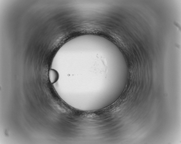 X0000096400642200801241004
