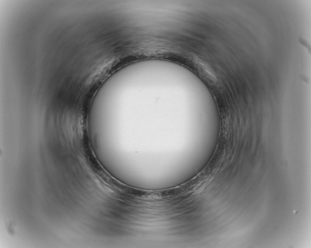 X0000096400644200801241005