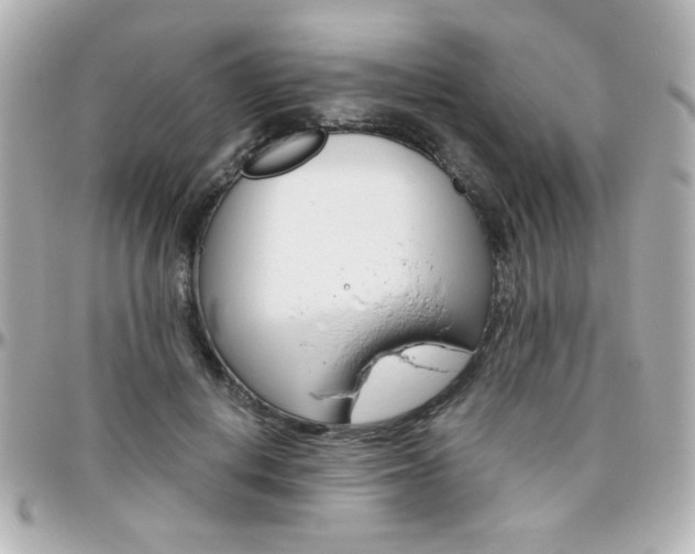 X0000096400648200801241005
