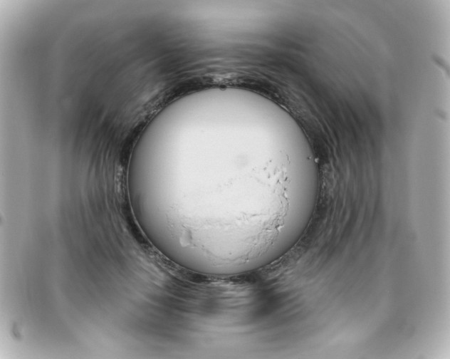 X0000096400650200801241005
