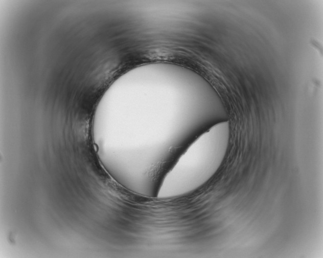 X0000096400652200801241005
