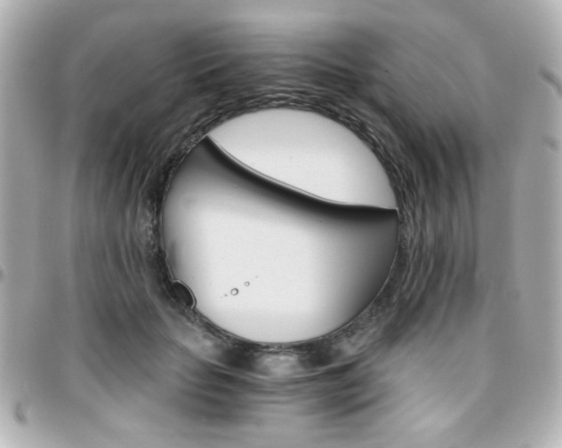 X0000096400653200801241005