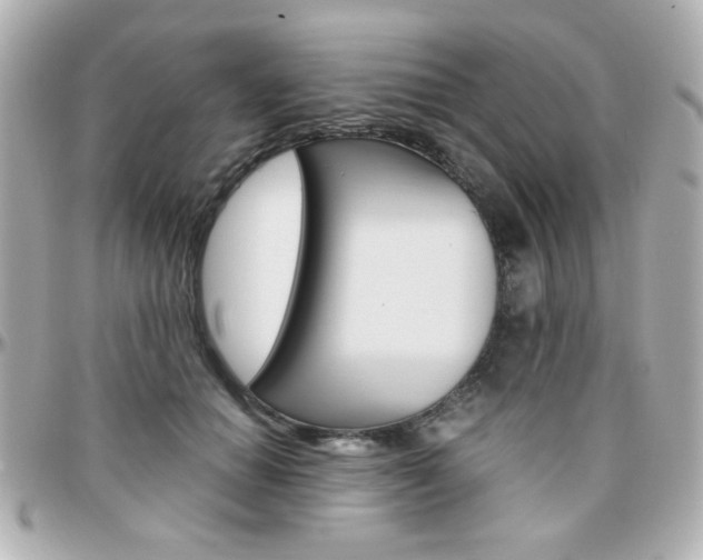 X0000096400654200801241005