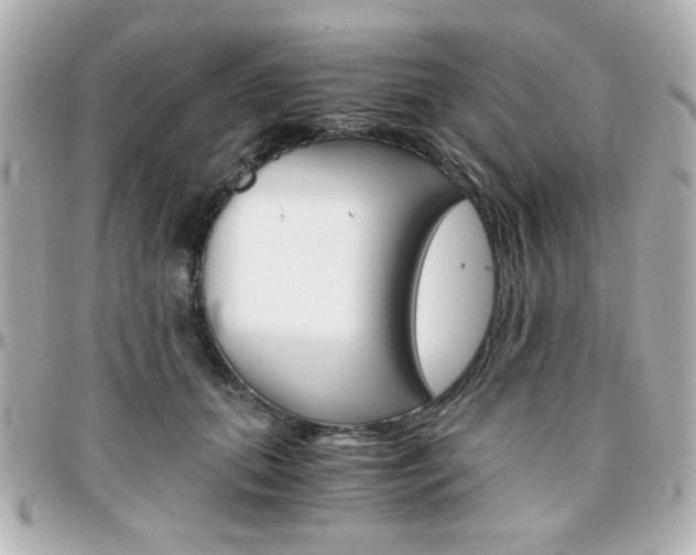 X0000096400655200801241005