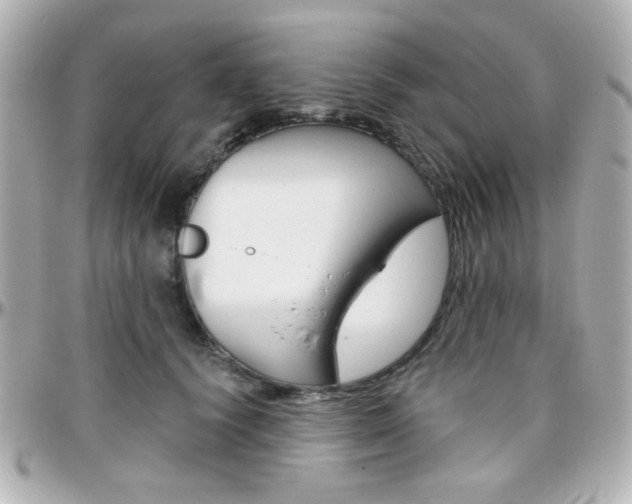 X0000096400656200801241005
