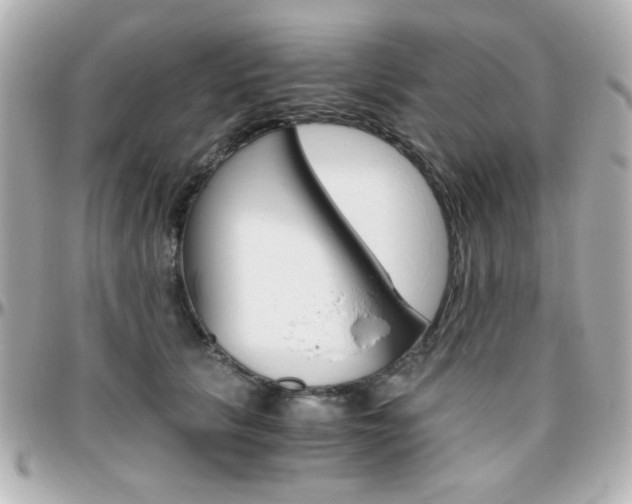 X0000096400657200801241005