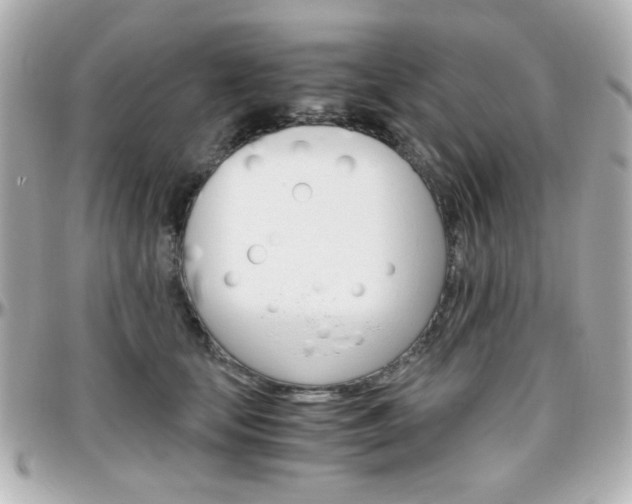 X0000096400659200801241005