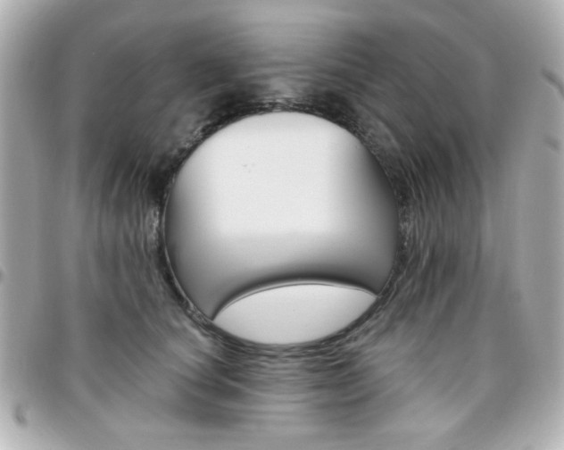 X0000096400660200801241005