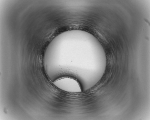 X0000096400661200801241005