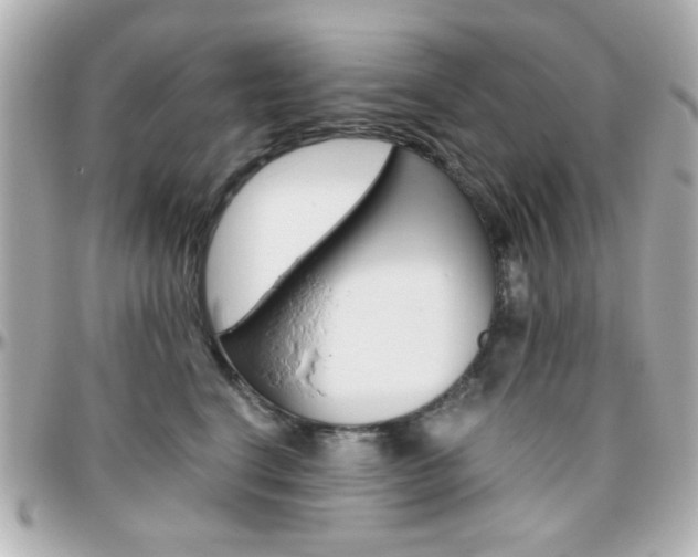 X0000096400664200801241005