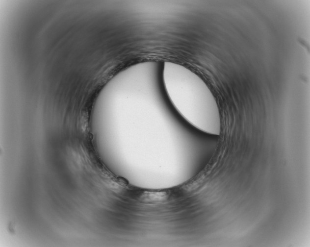 X0000096400665200801241005