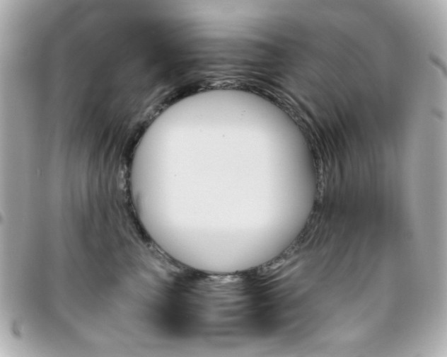 X0000096400667200801241005