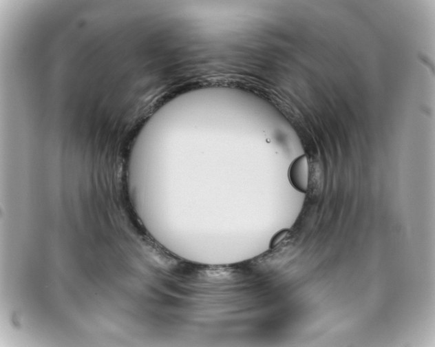 X0000096400668200801241005