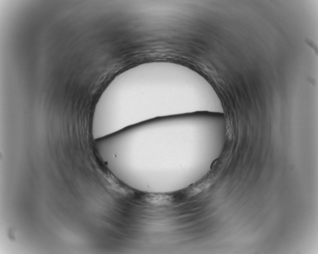 X0000096400670200801241005