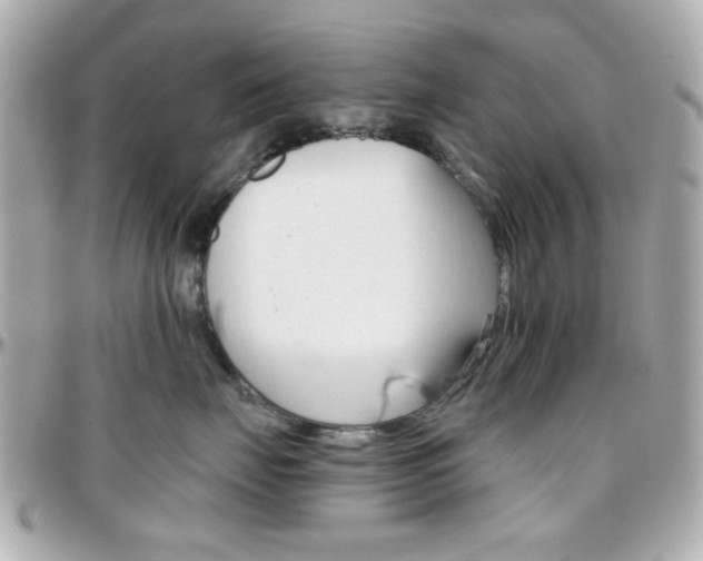X0000096400671200801241005