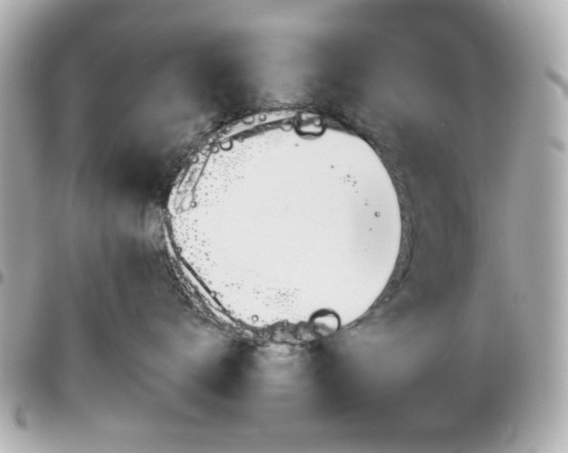 X0000096400672200801241005