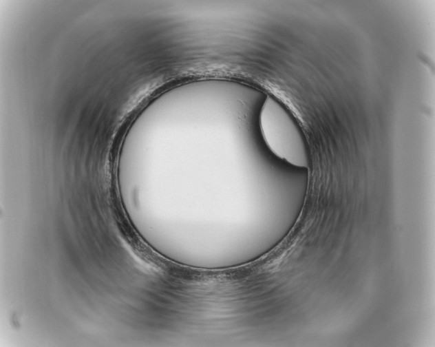 X0000096400674200801241004