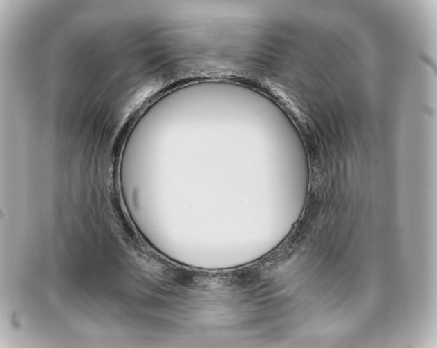X0000096400679200801241004