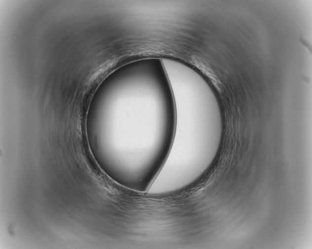 X0000096400681200801241004