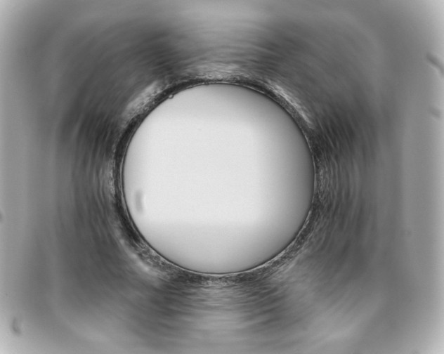 X0000096400682200801241004