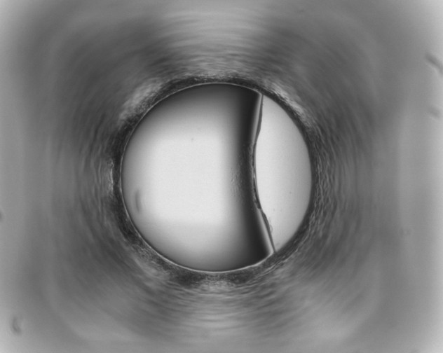 X0000096400685200801241004