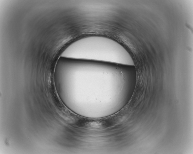 X0000096400692200801241004