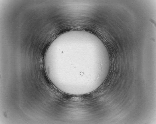 X0000096400699200801241004