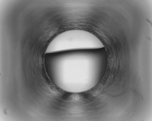 X0000096400704200801241004