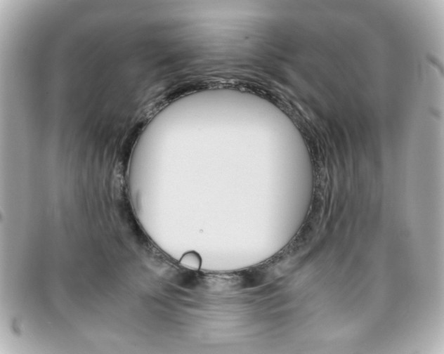 X0000096400707200801241004