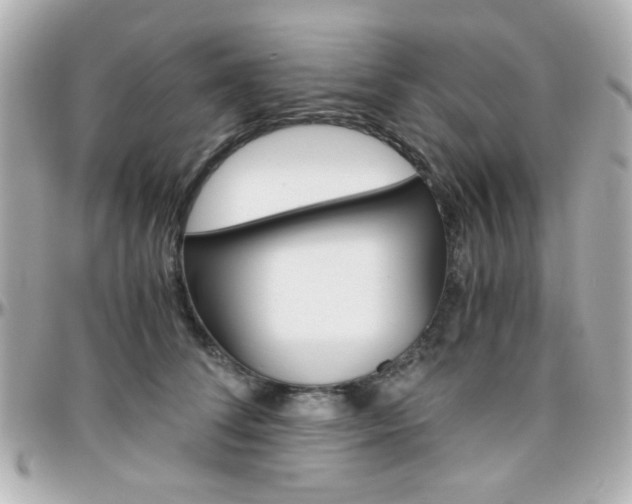 X0000096400708200801241004