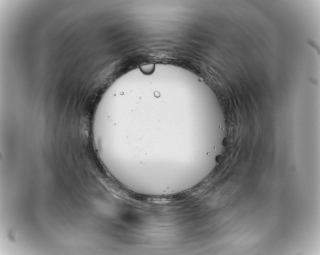X0000096400710200801241004