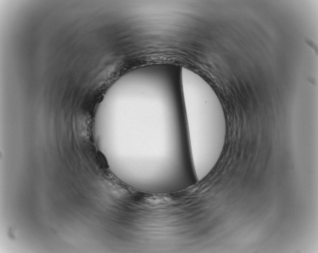 X0000096400712200801241004