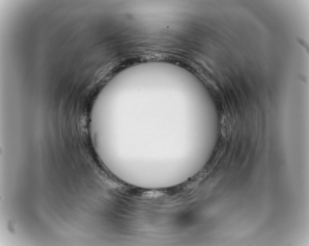 X0000096400714200801241004