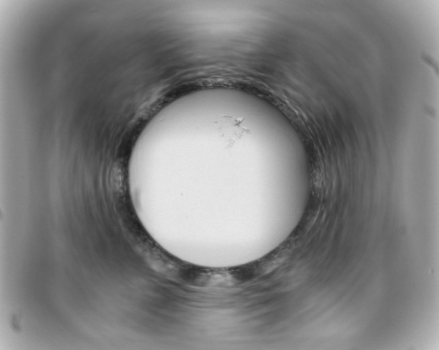 X0000096400715200801241004