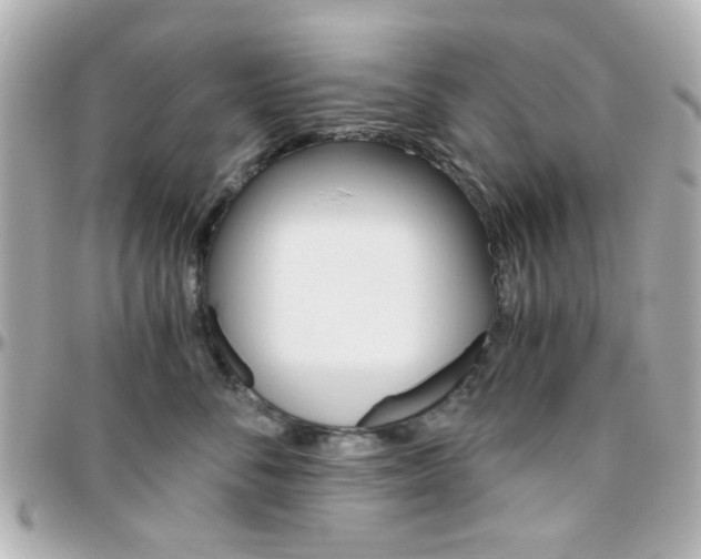 X0000096400716200801241004