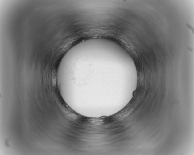 X0000096400719200801241004