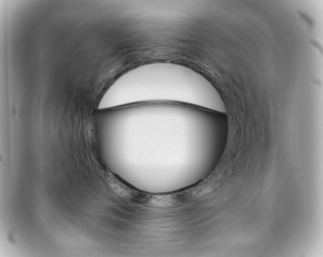 X0000096400720200801241004
