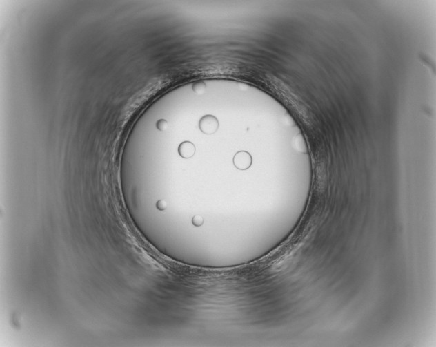 X0000096400721200801241003