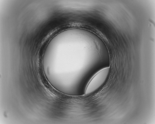 X0000096400722200801241003