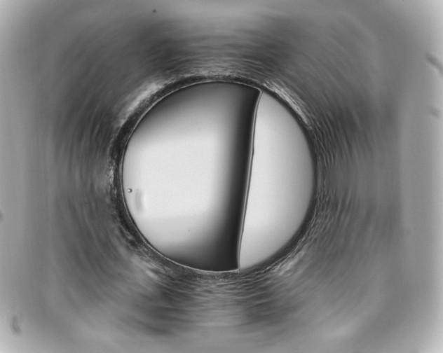X0000096400723200801241003